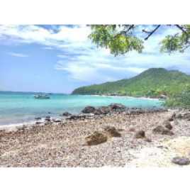  Pattaya Koh Larn Coral Island & Big buddha Day Tour